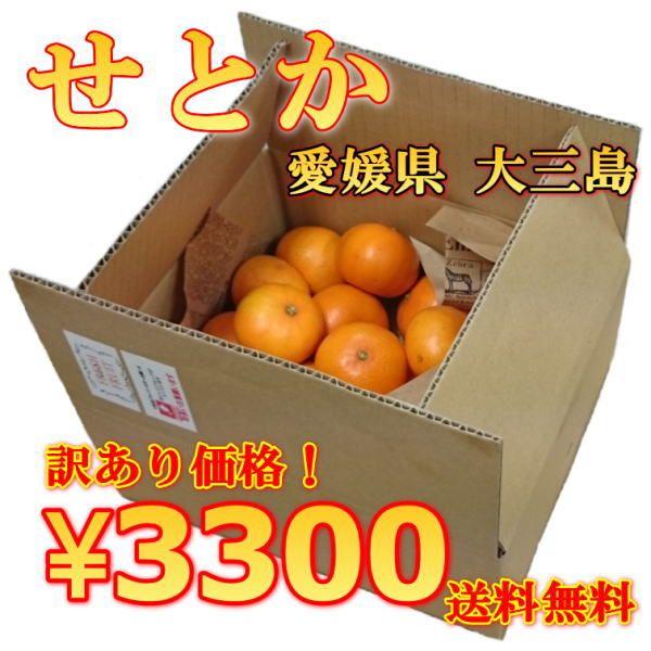 せとか 家庭用 10kg 広島県 瀬戸田 瀬戸内 しまなみ海道 訳あり せとか 産地 瀬戸内 しまなみ海道 愛媛県 大三島 約3kg
