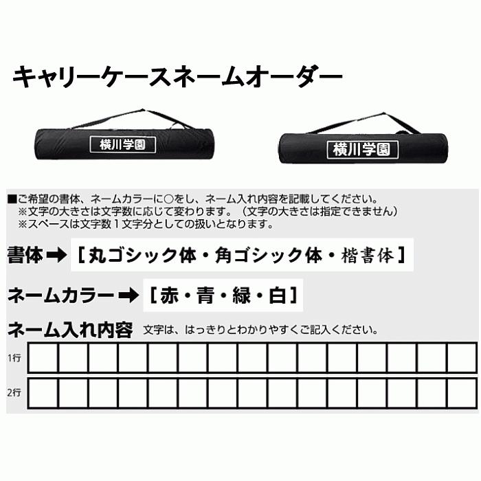 ネーム加工付 モルテン ボールカゴ 平型 折りたたみ式平型ボールカゴ 激安通販販売 背高 代引不可 4点set ネット 小物収納ネット 支柱 キャリーケース 送料無料 背低