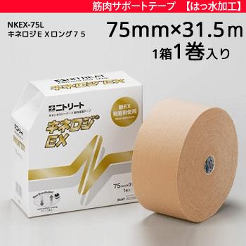 [圧倒的人気 本日発送 ] M6REGRV1H5M (M6REGRV1H5M)
