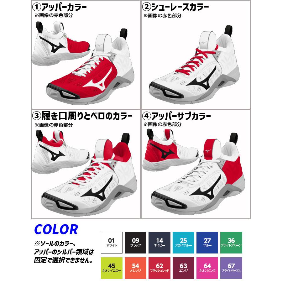ミズノバレーボールシューズ　ウェーブモーメンタム MIZUNO（ミズノ） WAVE MOMENTUM PRO ウエーブモーメンタム プロ