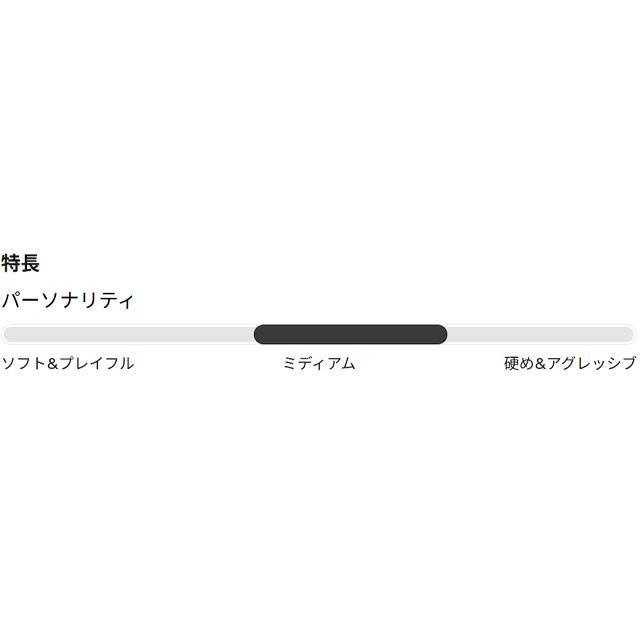 BURTON】 バートン 【Ritual BOA】 リチュアル BOA 25-26 ウィメンズ