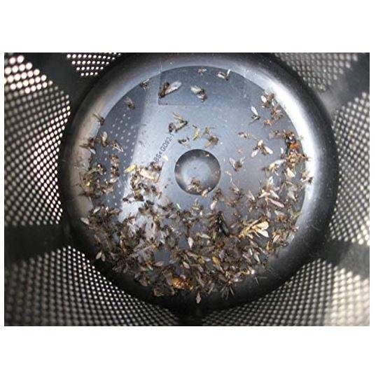 UV蚊取り器MOSピュア IS1 ブラック 薬剤不使用 エコ・メンテナンスフリー 蚊を４倍捕獲立証 |  | 03