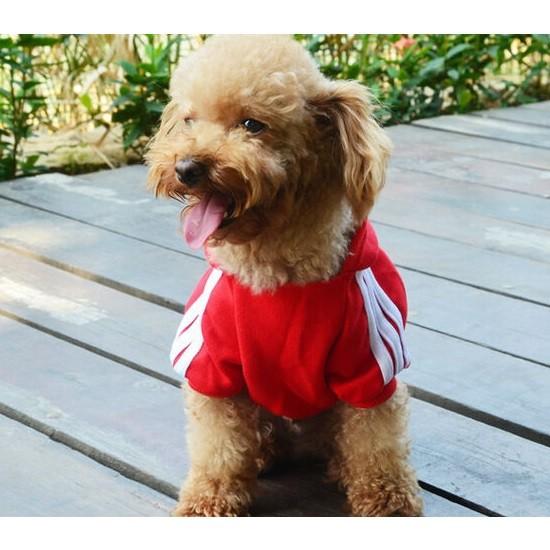 adidog 裏起毛パーカー XS S M L XL レッド・ブルー・イエロー・グレー