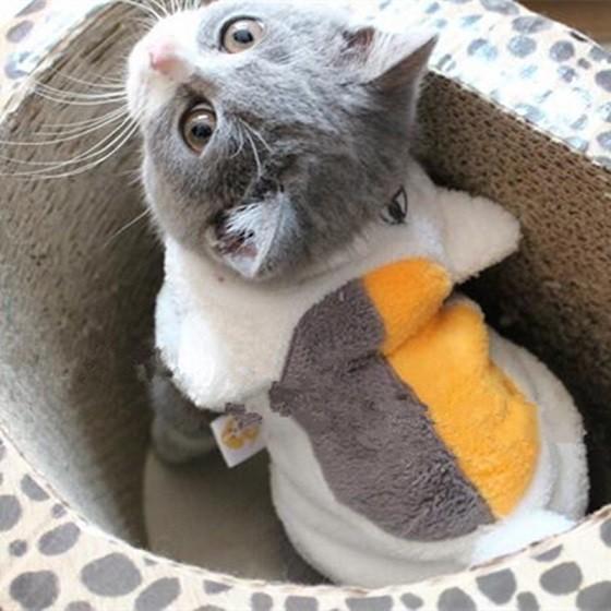 ニャンコ先生 変身着ぐるみ S M L Xl 超小型犬 小型犬 犬服 猫服 コスプレ コート 2l Ll ペットの雑貨屋さん Spring 通販 Yahoo ショッピング