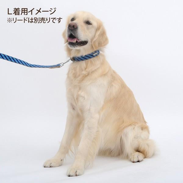 ペティオ シャルマン ストライプカラー M レッド・ブルー 中型犬 首輪 犬用 柴犬・コーギー・ビーグル・ボーダーコリー等 |  | 05