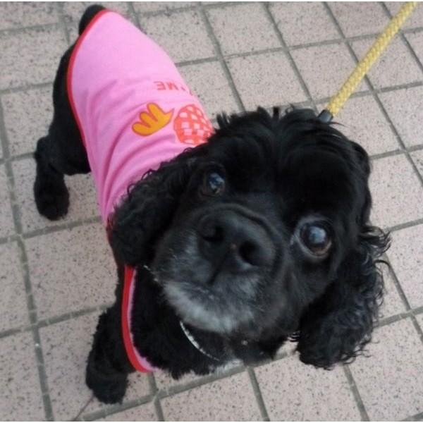 HUG ME タンクトップ 3号・5号・6号・7号 MD-3号 ピンク 犬服 超小型犬〜小型犬用 (SS・M・L・XL・MD-M) |  | 01