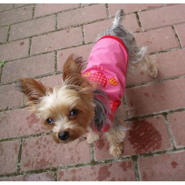 HUG ME タンクトップ 3号・5号・6号・7号 MD-3号 ピンク 犬服 超小型犬〜小型犬用 (SS・M・L・XL・MD-M) |  | 02