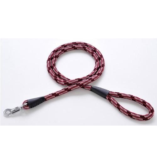 ペティオ ネオンプラスリード 10 小型犬用 ブラック・レッド・ブルー シェルティ・パグ等 引き紐 | Petio | 01