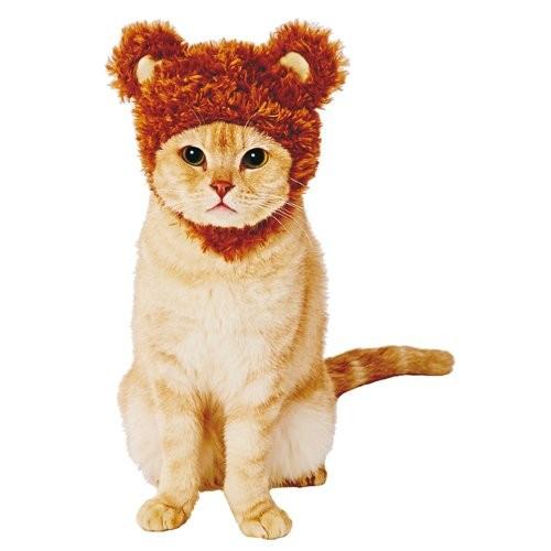 ☆くまねこ様☆専用出品商品です！ ペティオ】プラクト ねこちゃんの3ヶ月からの歯みがきデンタル