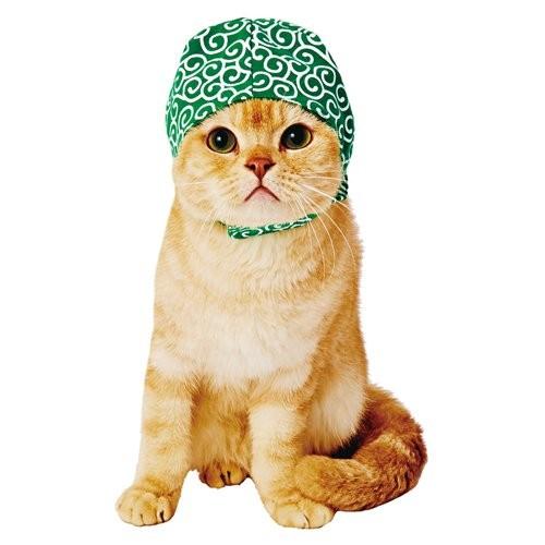 ペティオ 猫用 変身ほっかむり サカナ 猫服 ドロボウ コスプレ うさぎ クマ コスチューム 泥棒 フグ くま ウサギ