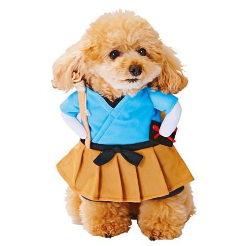 値段が激安 ペティオ 犬用 変身着ぐるみウェア S M 浦島太郎 コスプレ 超小型犬 小型犬用 犬服 浦ちゃん コスチューム