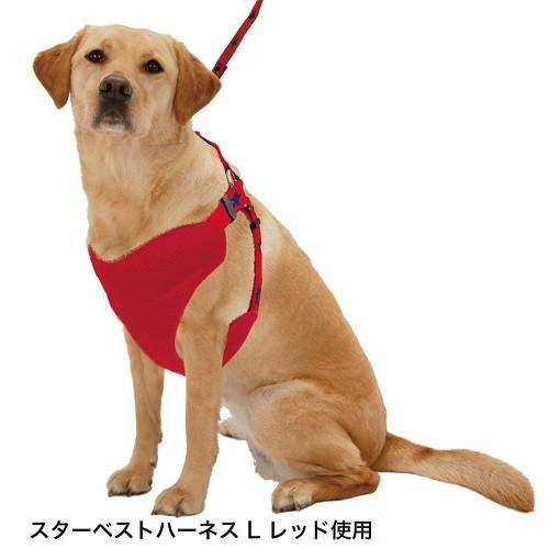 ペティオ メリカジ スターベストハーネス L レッド  大型犬 胴輪 犬用 ゴールデンレトリーバー ラブラドールレトリーバー等 | Meri Casu | 02
