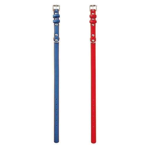 ペティオ 平首輪 ソフティレザーカラー L ブルー・レッド 大型犬 首輪 犬用 ゴールデンレトリーバー ラブラドールレトリーバー等 | Petio | 01