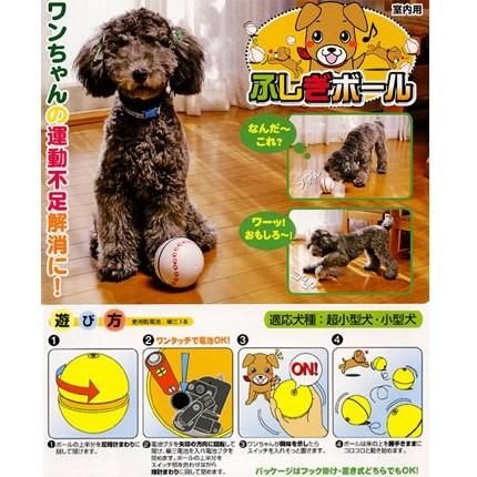 アウトレット Lec ふしぎボール 室内用 超小型犬 小型犬専用 室内遊び 犬用 おもちゃ Toy 訳あり テスト電池使用不可 ペットの雑貨屋さん Spring 通販 Yahoo ショッピング