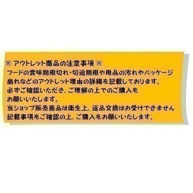【アウトレット】 AZERIA ベーシックレザー リード 1.2 レッド 超小型犬〜小型犬用 アゼリア 【訳あり※剥げ箇所有り】 |  | 02