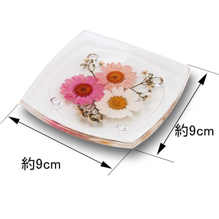 クリスマス 2025 ハーバリウム(植物標本) コースター 1枚 / 誕生日 プレゼント ギフト プチギフト 女性 卒業 新生活 退職 おしゃれ 母親 祖母 妻 女性 |  | 07