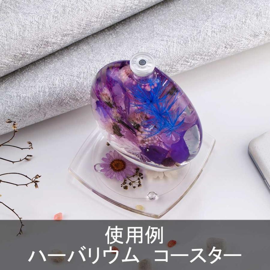 クリスマス 2025 ハーバリウム(植物標本) コースター 1枚 / 誕生日 プレゼント ギフト プチギフト 女性 卒業 新生活 退職 おしゃれ 母親 祖母 妻 女性 |  | 08