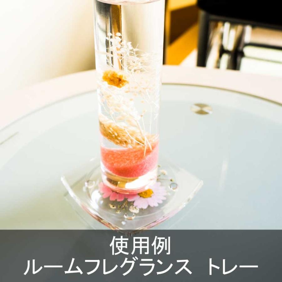 クリスマス 2025 ハーバリウム(植物標本) コースター 1枚 / 誕生日 プレゼント ギフト プチギフト 女性 卒業 新生活 退職 おしゃれ 母親 祖母 妻 女性 |  | 09