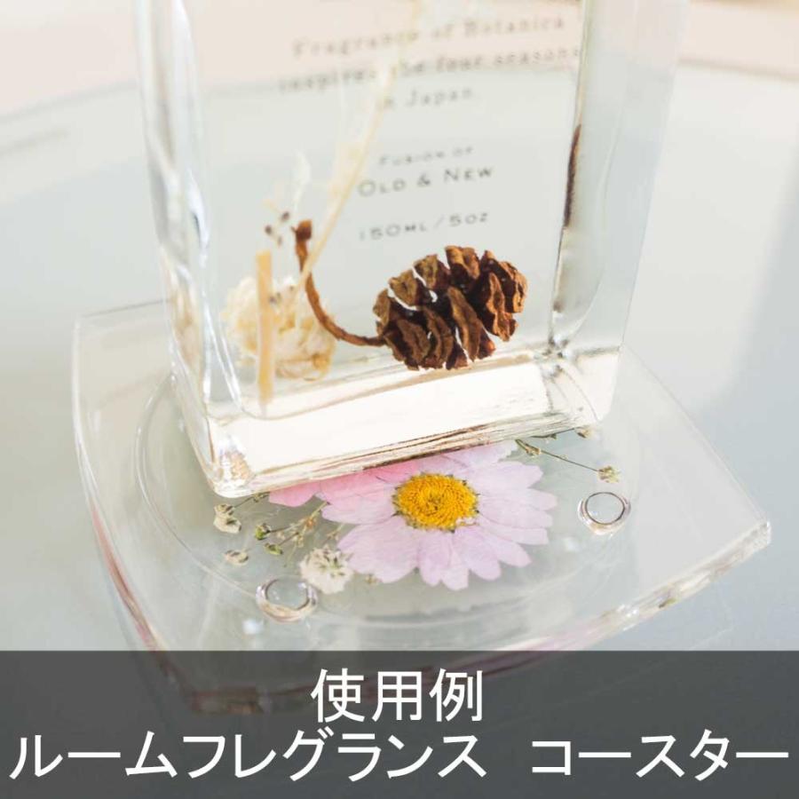 クリスマス 2025 ハーバリウム(植物標本) コースター 1枚 / 誕生日 プレゼント ギフト プチギフト 女性 卒業 新生活 退職 おしゃれ 母親 祖母 妻 女性 |  | 10