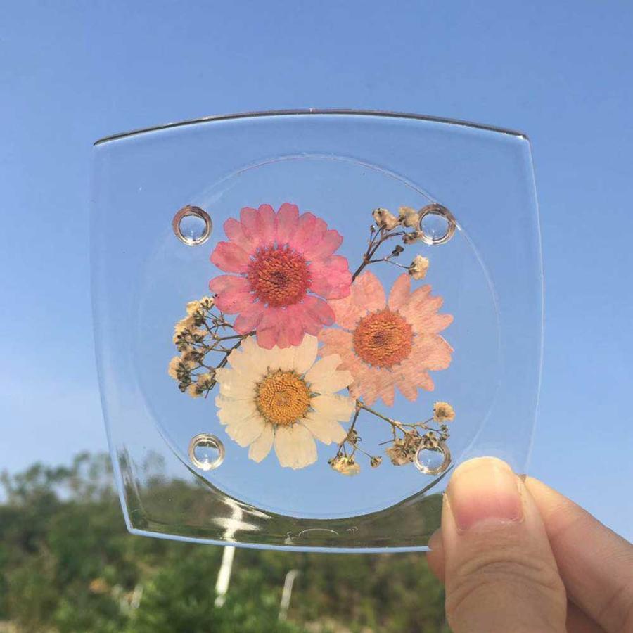 クリスマス 2025 ハーバリウム(植物標本) コースター 1枚 / 誕生日 プレゼント ギフト プチギフト 女性 卒業 新生活 退職 おしゃれ 母親 祖母 妻 女性 |  | 12