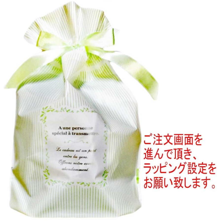 ハーバリウム ボールペン 完成品(替え芯3本付き) / 母の日