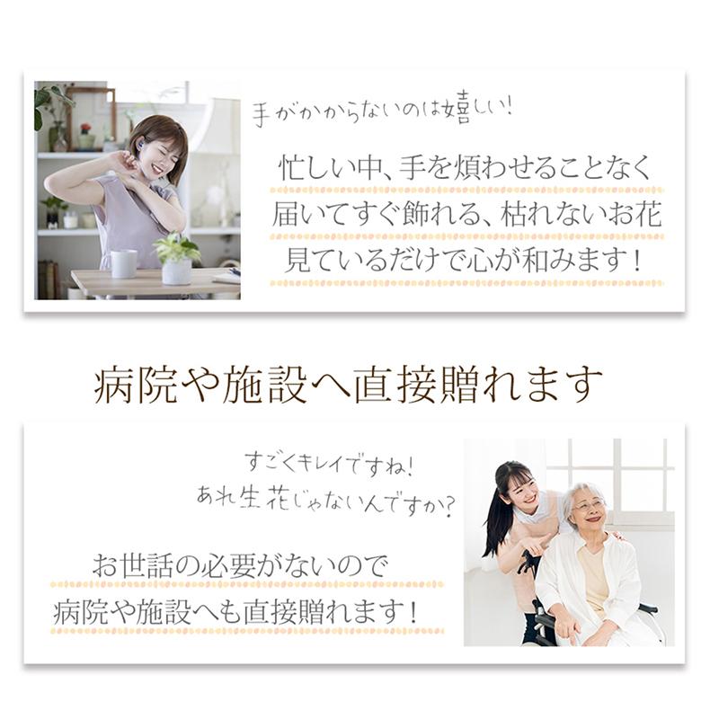 クリスマス 2025 ツリー ハーバリウム ツリー / ギフト プレゼント クリスマスツリー クリスマス プレゼント 誕生日 記念日 卒業 新生活 退職 癒し 爆買 |  | 12