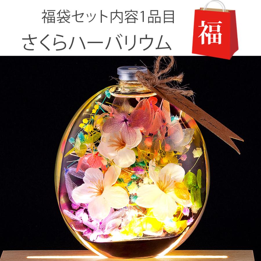 福袋 2024 ハーバリウム 桜 丸瓶 エコバッグ / プレゼント ギフト 花 誕生日 お祝い レジバッグ ショッピングバッグ 大容量 保冷 女性 母親 40代 50代 60代 |  | 01