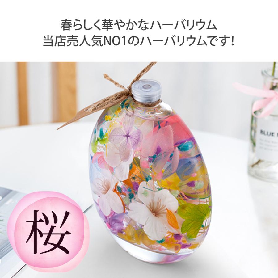 福袋 2024 ハーバリウム 桜 丸瓶 エコバッグ / プレゼント ギフト 花 誕生日 お祝い レジバッグ ショッピングバッグ 大容量 保冷 女性 母親 40代 50代 60代 |  | 02