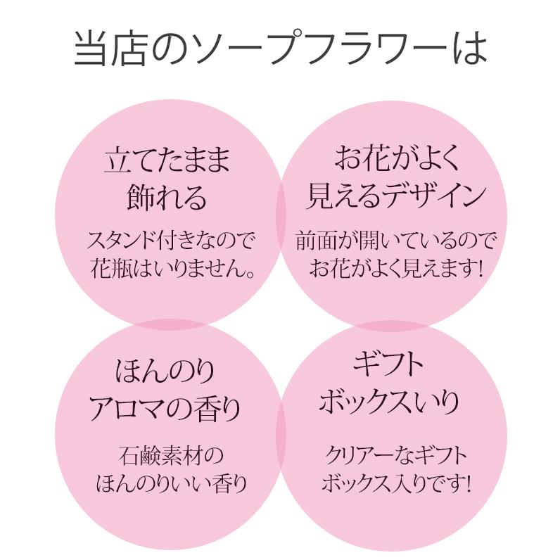 福袋 2024 ソープフラワー S 桜 エコバッグ / プレゼント ギフト スタンディング 花 花束 さくら 誕生日 お祝い 女性 母親 40代 50代 60代 レジバッグ 保冷 爆買 |  | 02