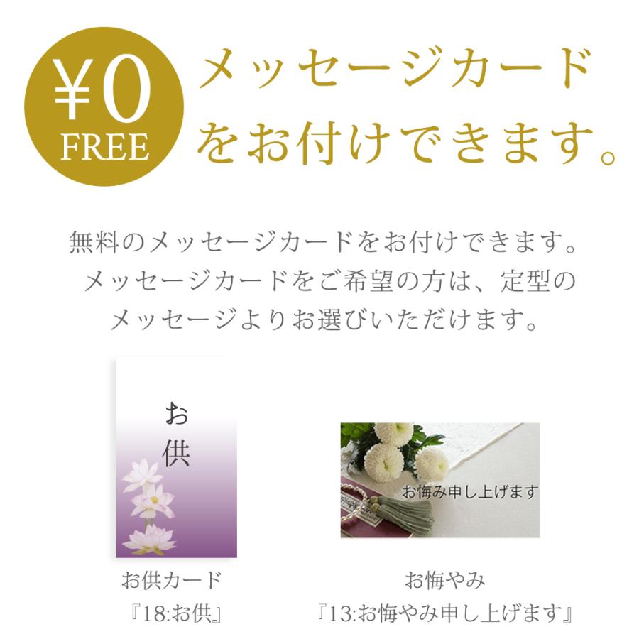 供花 スタンディング ソープフラワー 花束 Mサイズ スタンド付 / お彼岸 お供え お供 お盆 仏花 盆花 お盆花 虹の橋 ペット お悔やみ 仏花 傷みにくい |  | 15