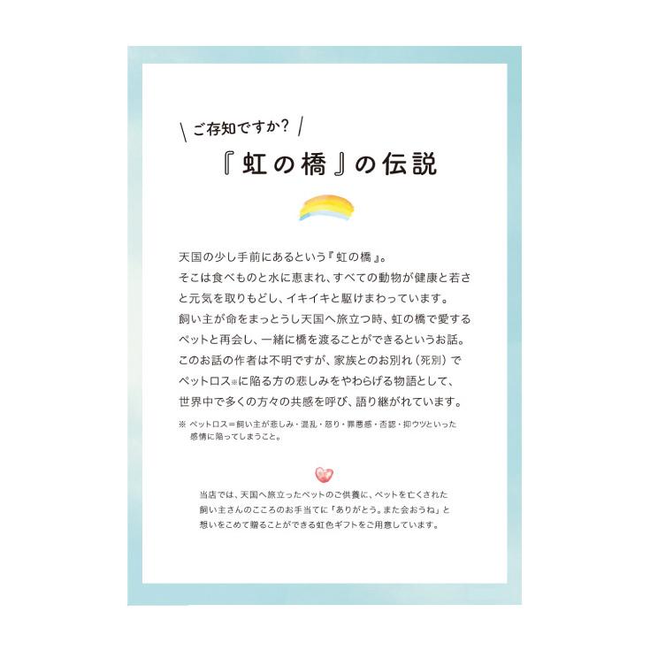 クリスマス くま ぬいぐるみ S / クマ プレゼント お誕生日 女性 女の子 子供 お花 ハーバリウム ソープフラワー 虹の橋 ペット お悔やみ お供え 爆買 |  | 03