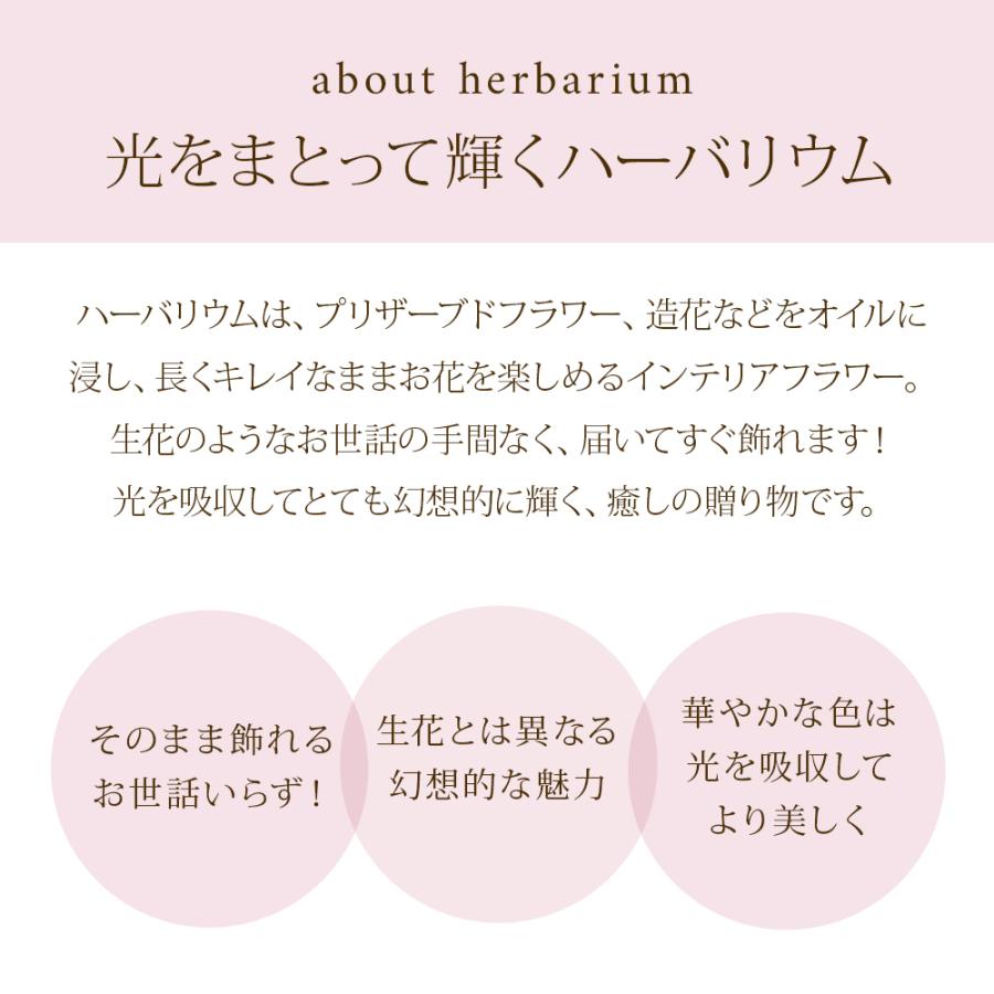 クリスマス 2025 スイーツ ラッピング 付き ハーバリウム 丸瓶 / プレゼント ギフト 誕生日 お祝い 花 桜 プリザーブドフラワー 爆買 |  | 05
