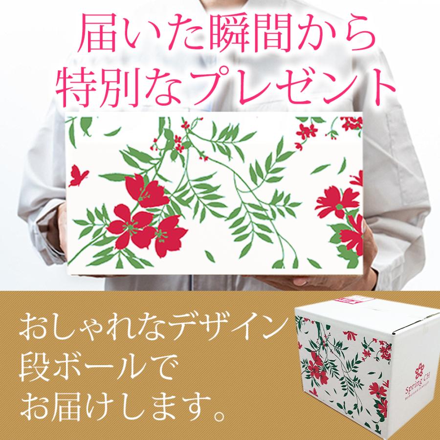 クリスマス 2025 花とお菓子 スイーツ ラッピング 付き ソープフラワー 花束 M スタンディング ギフト プレゼント バラ カーネーション 桜 爆買 |  | 11