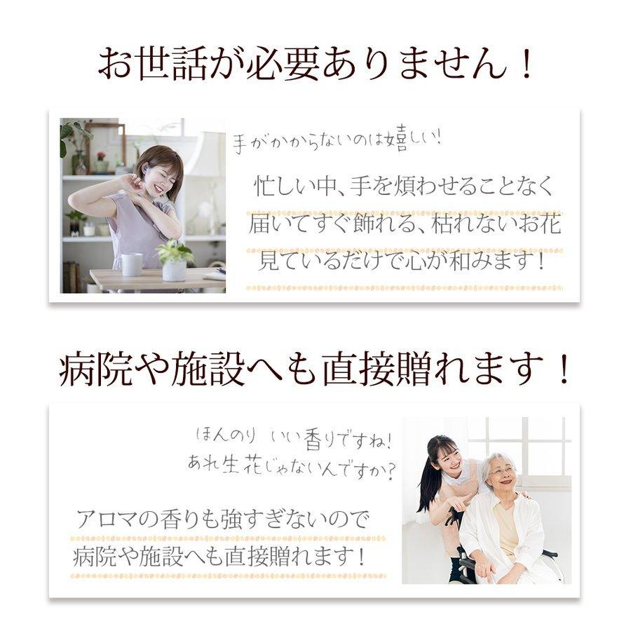 クリスマス 2025 花とお菓子 スイーツ ラッピング 付き ソープフラワー 花束 M スタンディング ギフト プレゼント バラ カーネーション 桜 爆買 |  | 02