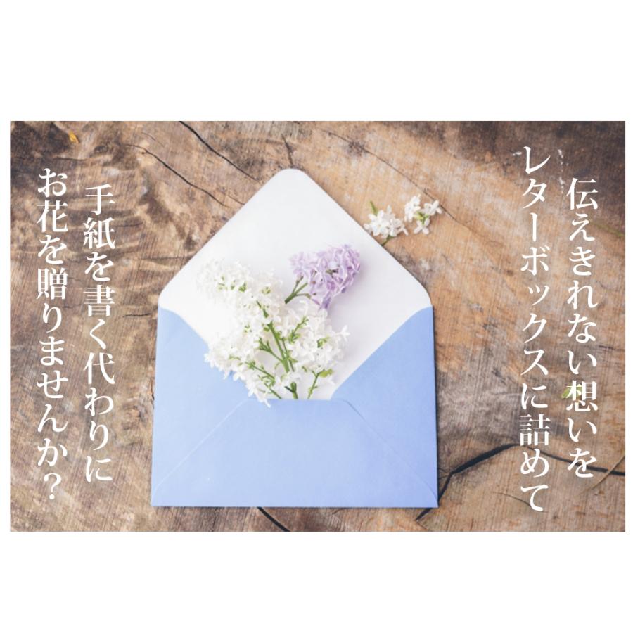 クリスマス 2025 花とお菓子 スイーツ ラッピング 付き ソープフラワー 花封筒 / クリスマスプレゼント ギフト プレゼント 花 桜 バラ アレンジ 爆買 |  | 03