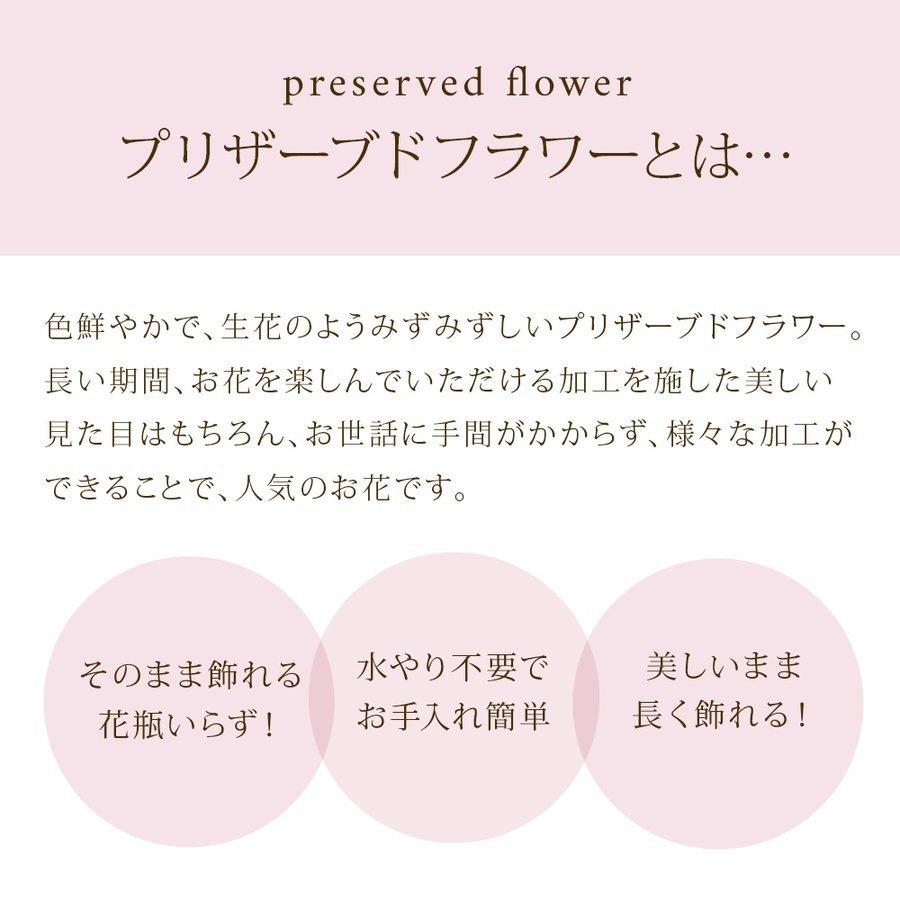 クリスマス 2025 スイーツ ラッピング 付き LED プリザーブドフラワー USB / 花とお菓子 コーヒー プレゼント ギフト バラ 花 豪華 お祝い 誕生日 爆買 |  | 01