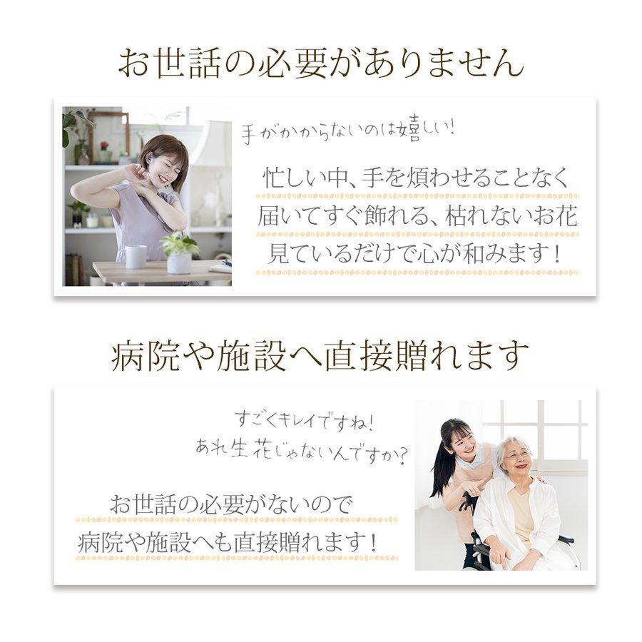 クリスマス 2025 スイーツ ラッピング 付き LED プリザーブドフラワー USB / 花とお菓子 コーヒー プレゼント ギフト バラ 花 豪華 お祝い 誕生日 爆買 |  | 02