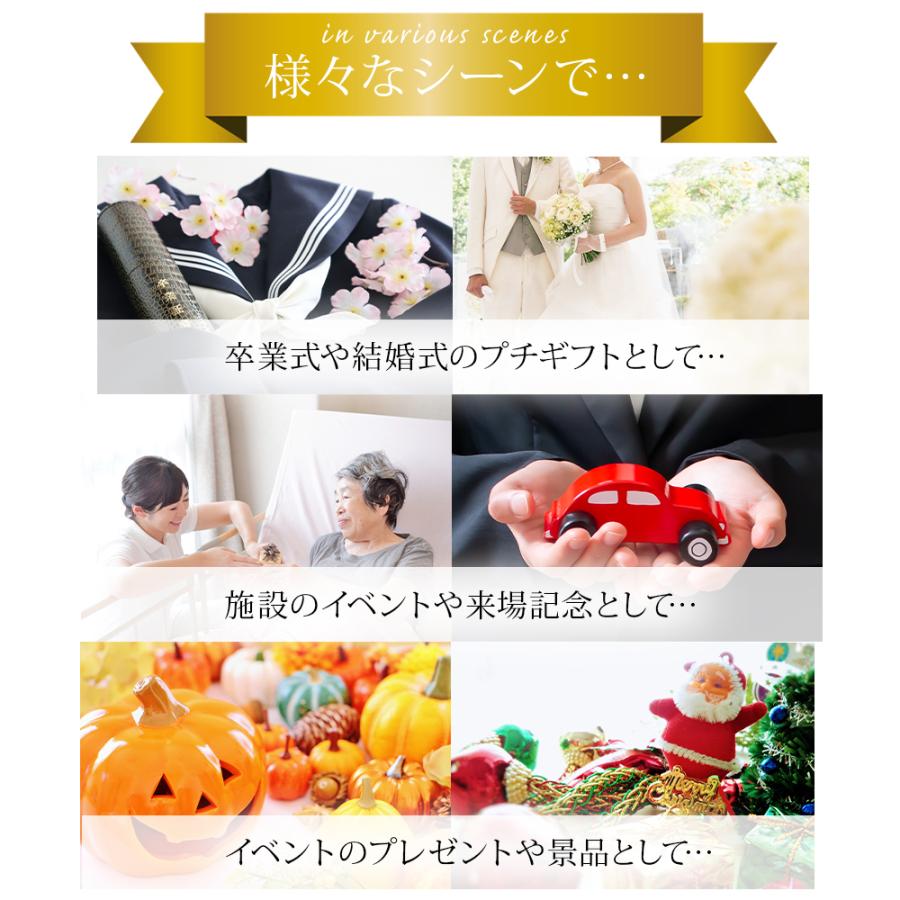 ソープフラワー 一輪 バラ 10本セット / 母の日 2025 母の日ギフト 母の日プレゼント プレゼント プチギフト 結婚式 お祝い 花 桜 さくら 花 母親 女性 爆買 |  | 20