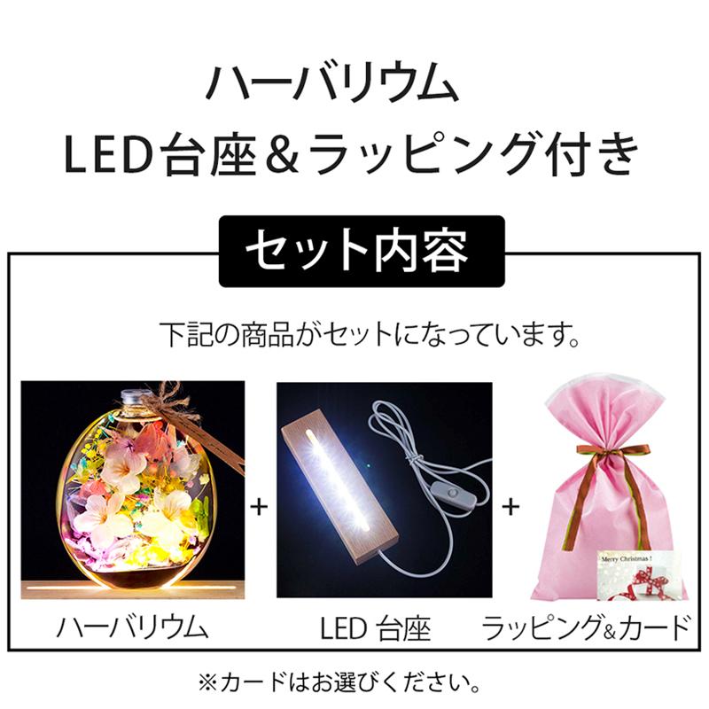 クリスマス 2025 ハーバリウム LED 台座付き 丸瓶 / 母の日 プレゼント ギフト 誕生日 お祝い 花 桜 さくら 花 プリザーブドフラワー 母親 女性 退職 爆買 |  | 03