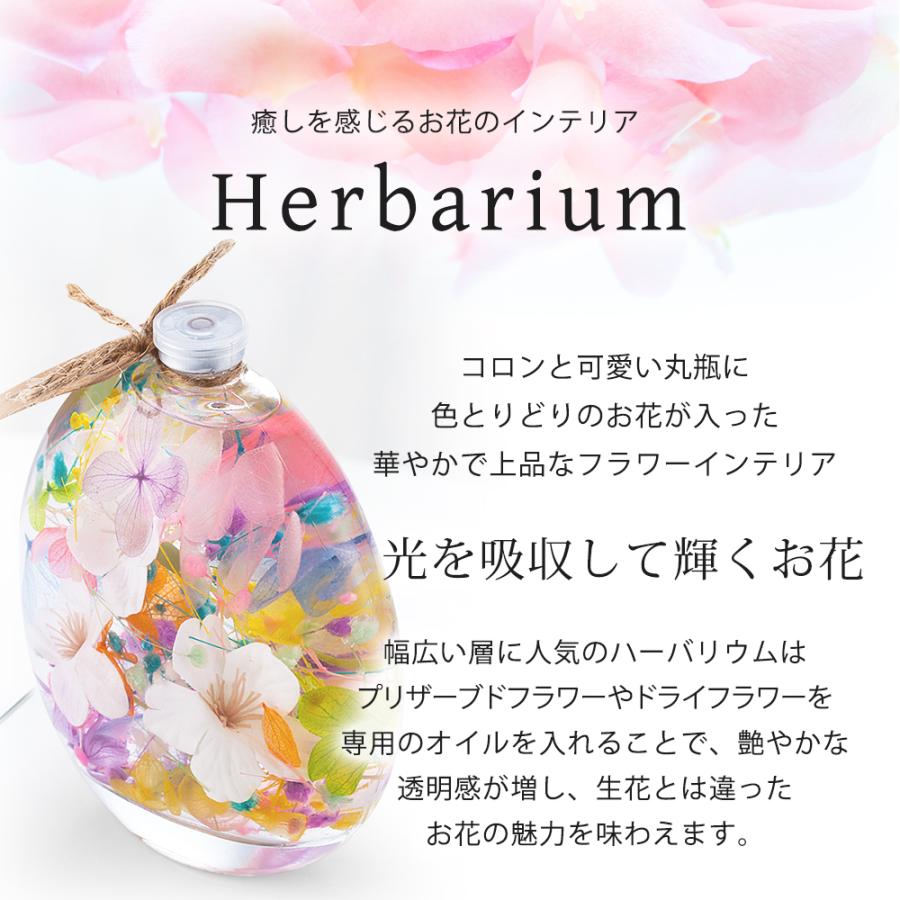 クリスマス 2025 ハーバリウム LED 台座付き 丸瓶 / 母の日 プレゼント ギフト 誕生日 お祝い 花 桜 さくら 花 プリザーブドフラワー 母親 女性 退職 爆買 |  | 02