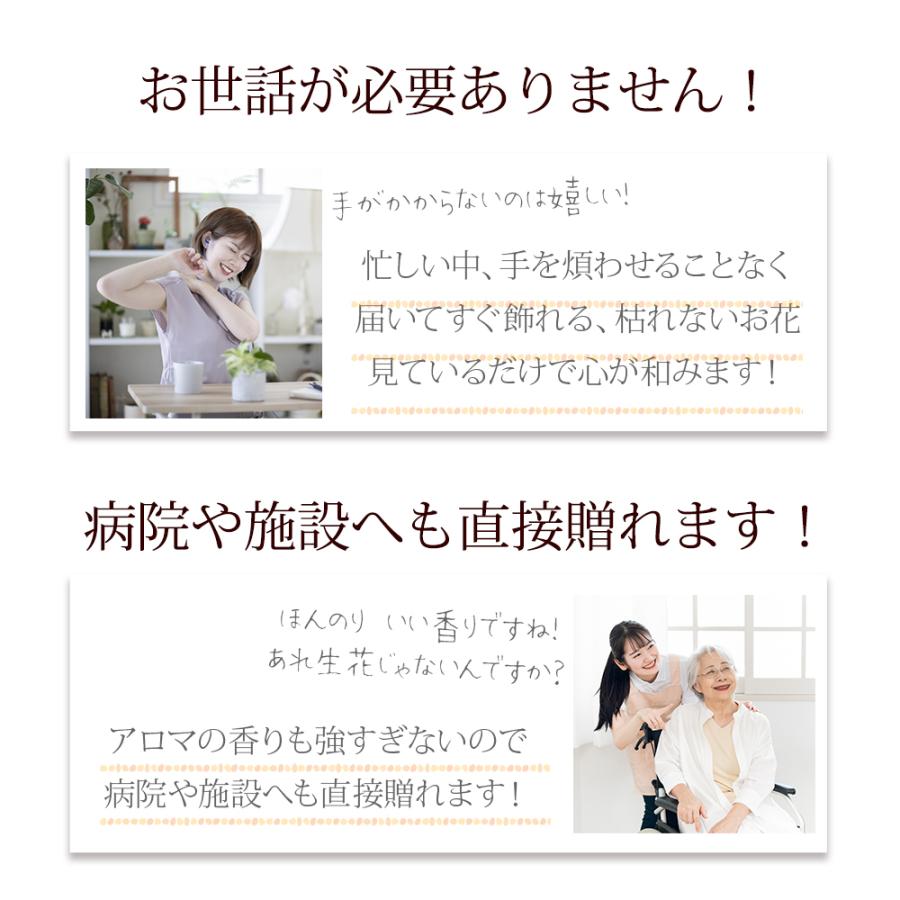 卒業式 卒園式 卒業１輪 ブーケ ソープフラワー 花束 桜 バラ / さくら 結婚式 ウェディング イベント プチギフト お返し 二次会 1本 誕生日 可愛い 爆買 |  | 08