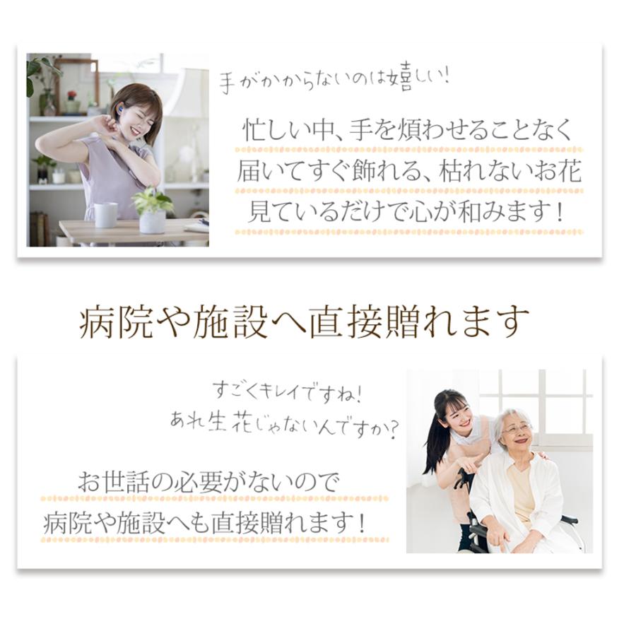＼卒業式に！50本以上のご予約可能／  予約販売 2026 ソープフラワー 一輪 バラ プチ 退職 プレゼント 結婚式 二次会 誕生日 1輪 1本 50代 60代 70代 80代 |  | 03