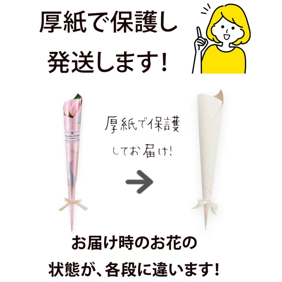 ＼卒業式に！50本以上のご予約可能／  予約販売 2026 ソープフラワー 一輪 バラ プチ 退職 プレゼント 結婚式 二次会 誕生日 1輪 1本 50代 60代 70代 80代 |  | 09