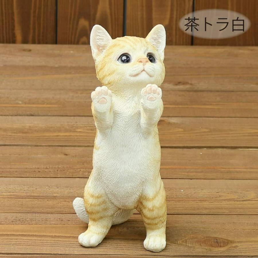 ベニーズキャット 窓の外を眺めてます 茶トラ白 Benny's