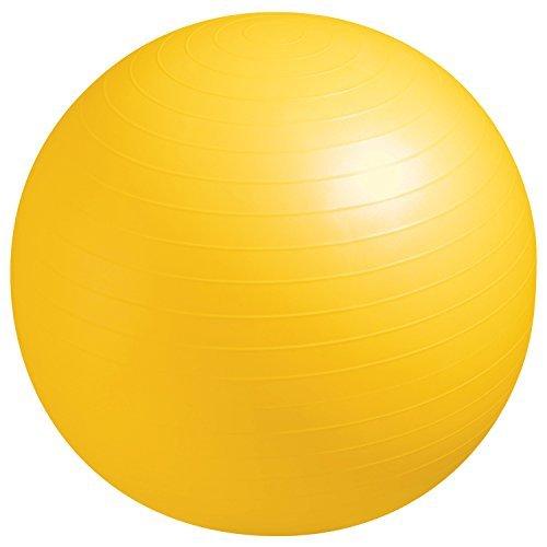 人気特価激安 La Vie ラヴィ バランスボール ノンバーストジムボール55cm ハンドポンプ メジャー付き 正規品 Www Jolimmo Ch