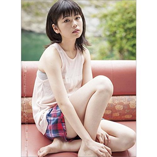 ほぼ未使用 小芝風花 2017年 カレンダー 壁掛け B2 【S2086119084】(12734円)