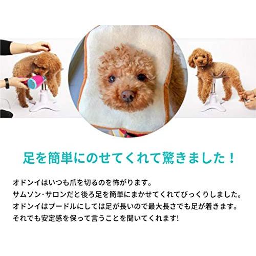⭐️完成品⭐️ サムソンサロン Samson Salon 犬 猫 ドッグフード トリミング トリマー バリカン 美容院 動物病院 ペット フード シ 【N1963199688】(11986円)