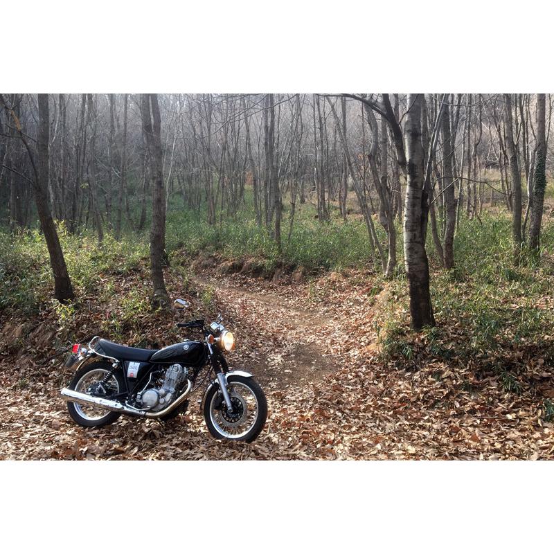 YAMAHA / 2018~SR400パワーボックス（2BL-RH16J） POWERBOX パイプ