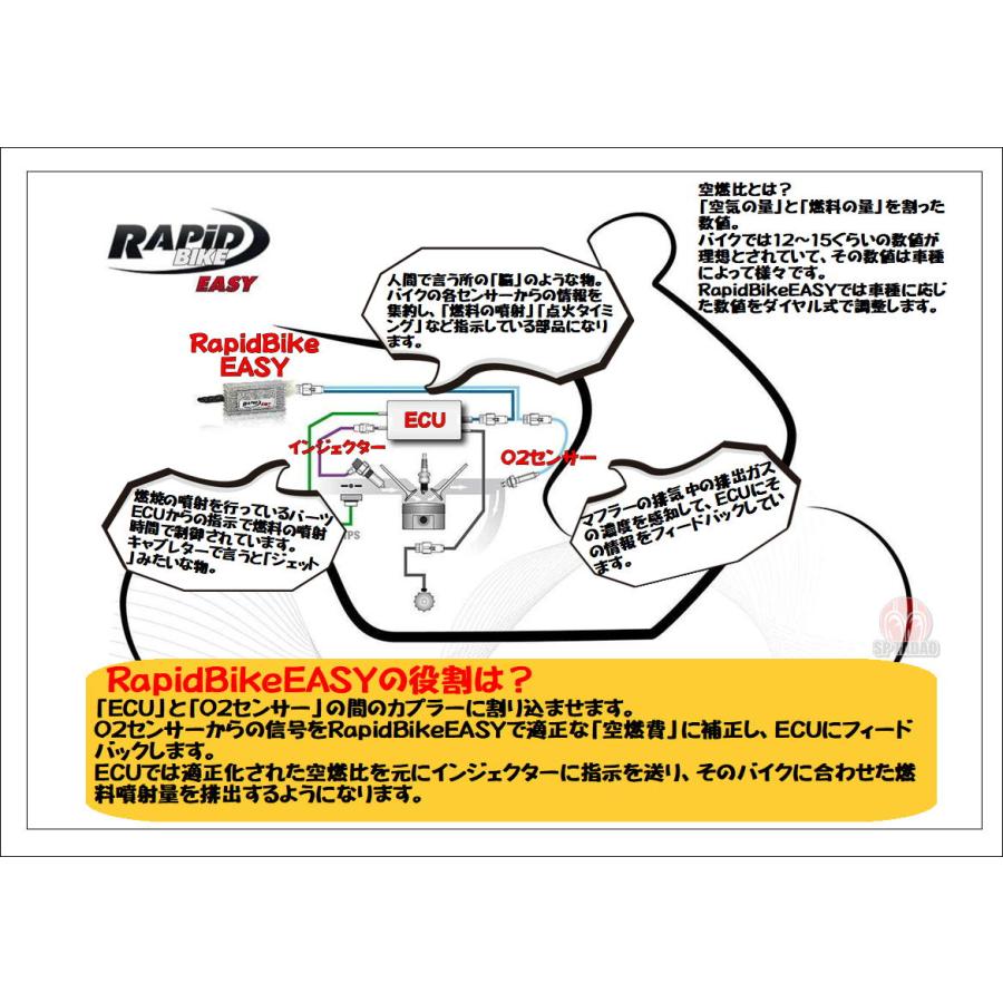 RAPiD BIKE EASYラピッドバイクイージー ECUコンピューター RAPiD BIKE EASYラピッドバイクイージー ECUコンピューター