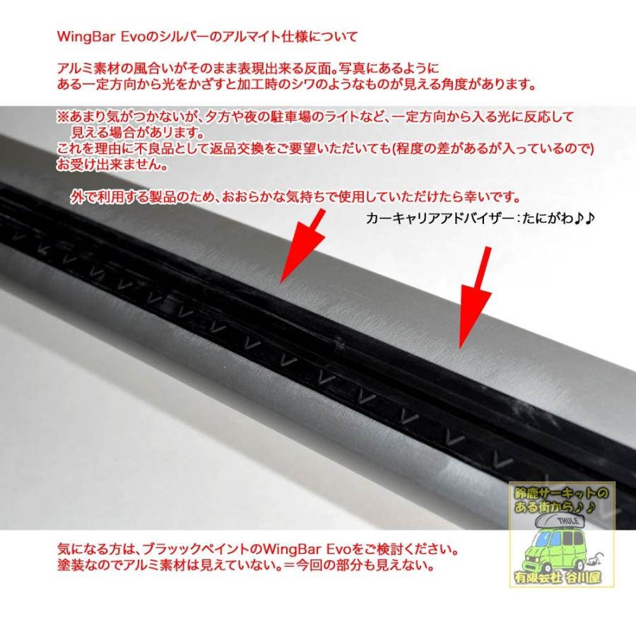 THULE キャリアset1台分 BMW:5シリーズ:[E61]ツーリング  RR付車 th710410 th7112｜sptanigawaya｜09